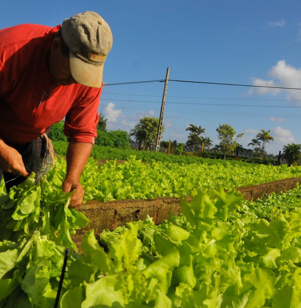 Agricultor-scaled