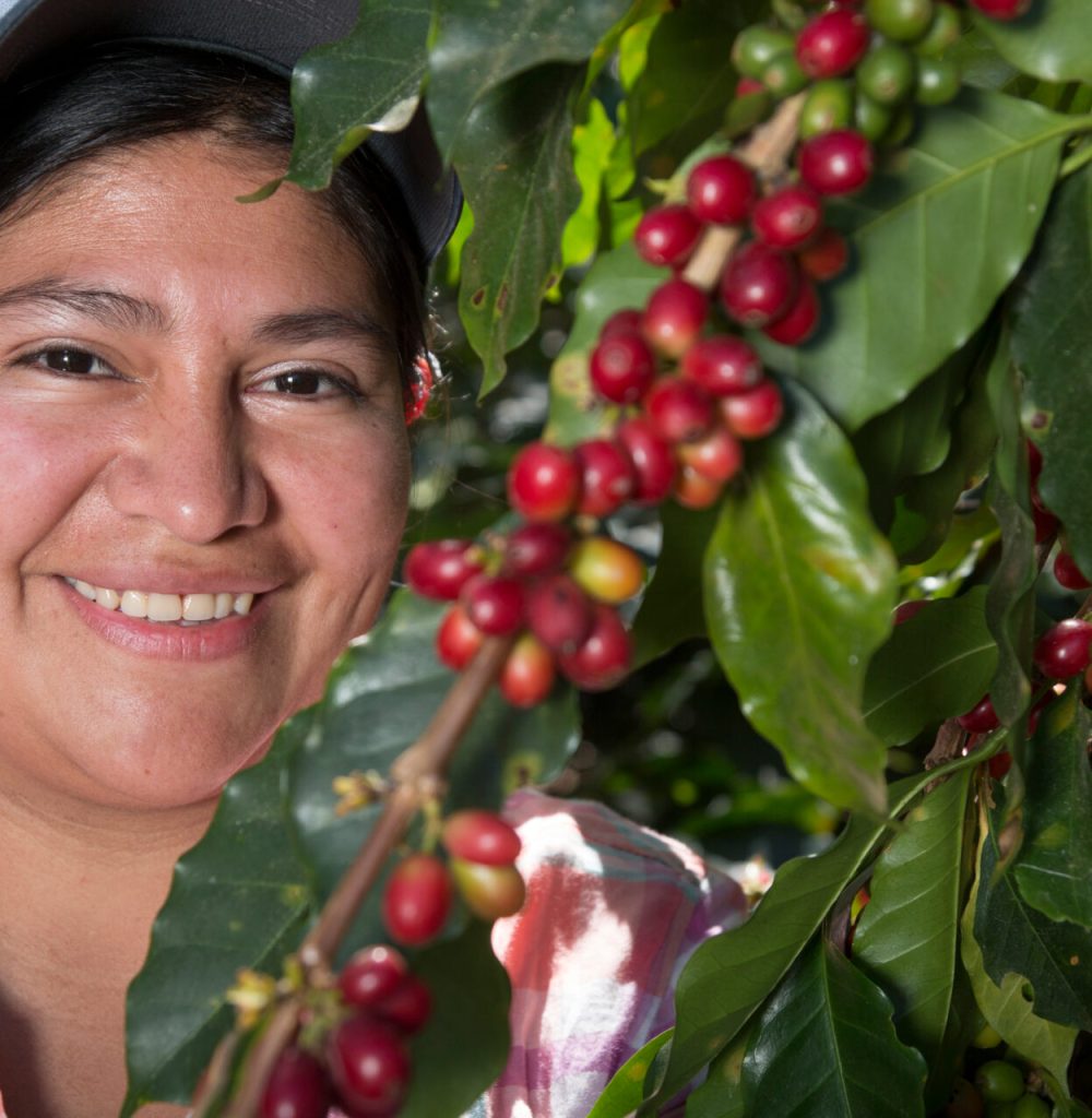 dia-mujer-honduras-cultivo-cafe